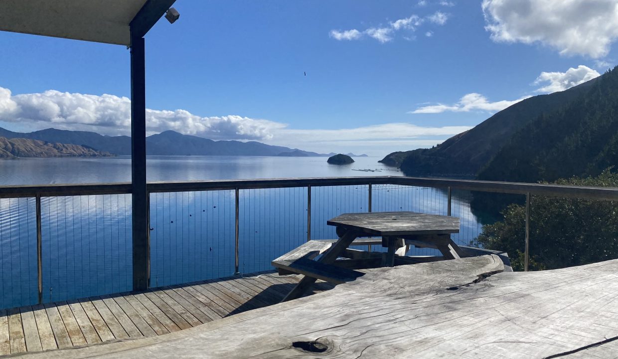 view from deck 2